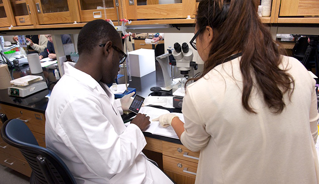 students in lab